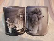 TASSE/MUG -  Chien CANICHE GRIS