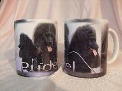 TASSE/MUG -  Chien CANICHE NOIR Coupe Expo